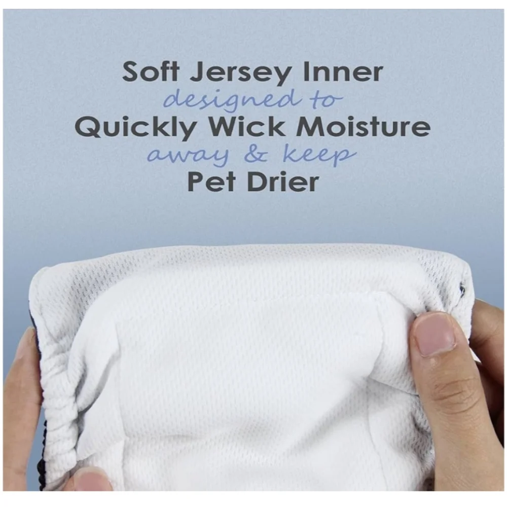 Science-Themed Male Dog Belly Bands - Size XL Potty Training Incontinance